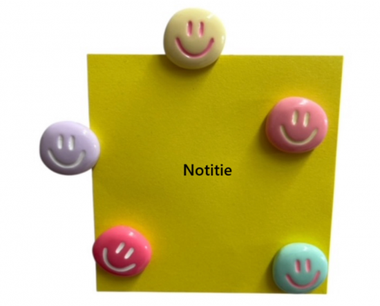 Vrolijke magneten 2 van de magneetshop.nl