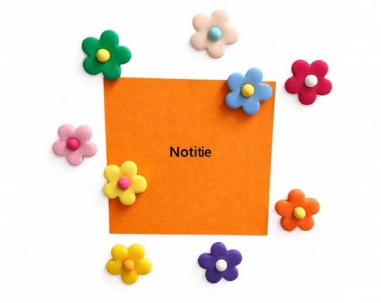 Vrolijke bloem magneten 7 van de magneetshop.nl