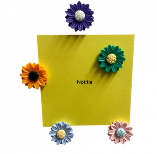 Gekleurde bloem magneten 5 van de magneetshop.nl
