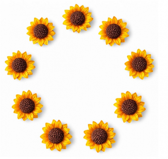 Kleine zonnebloem magneten (10 stuks) van demagneetshop.nl