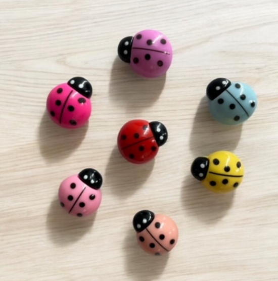 Lieveheersbeestje magneten (7 stuks) 5 van demagneetshop.nl