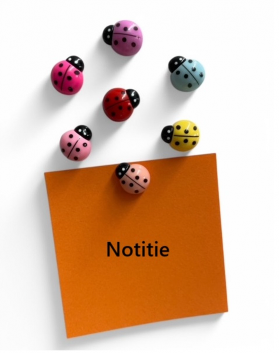 Lieveheersbeestje magneten (7 stuks) 2 van demagneetshop.nl