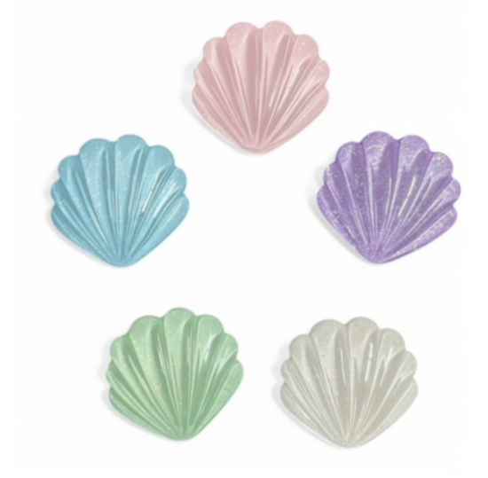 Schelpen magneten (5 stuks) 1 van demagneetshop.nl