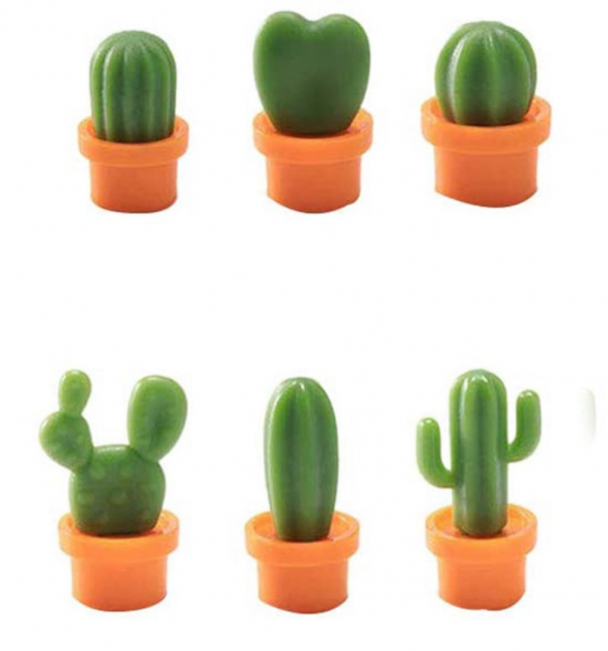 Catus magneten (6 stuks) 1 van demagneetshop.nl