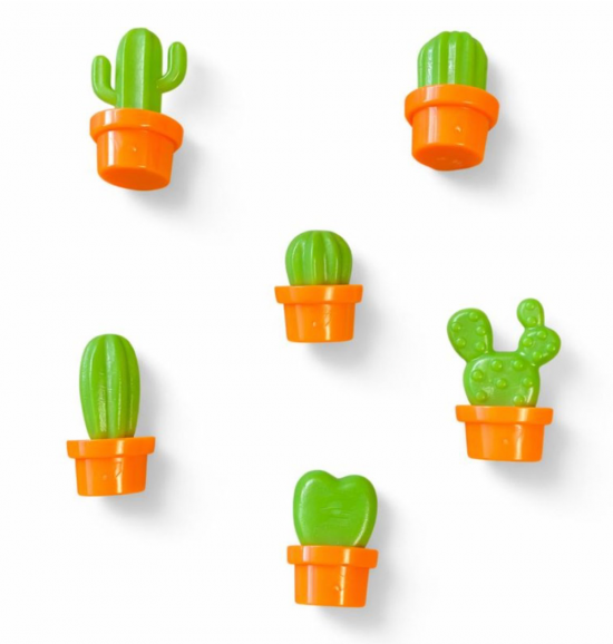 Catus magneten (6 stuks) 2 van demagneetshop.nl