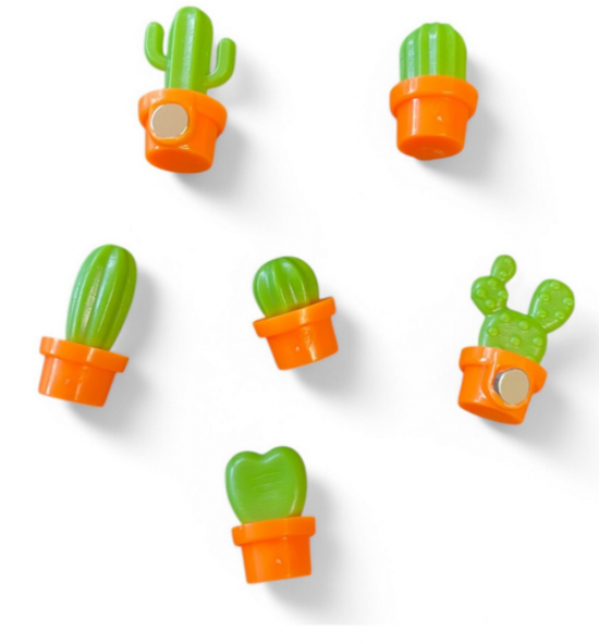 Catus magneten (6 stuks) 3 van demagneetshop.nl