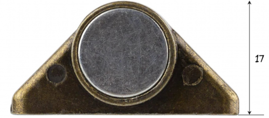 Sterke metalen pion magneten (8 stuks) 8 van demagneetshop.nl