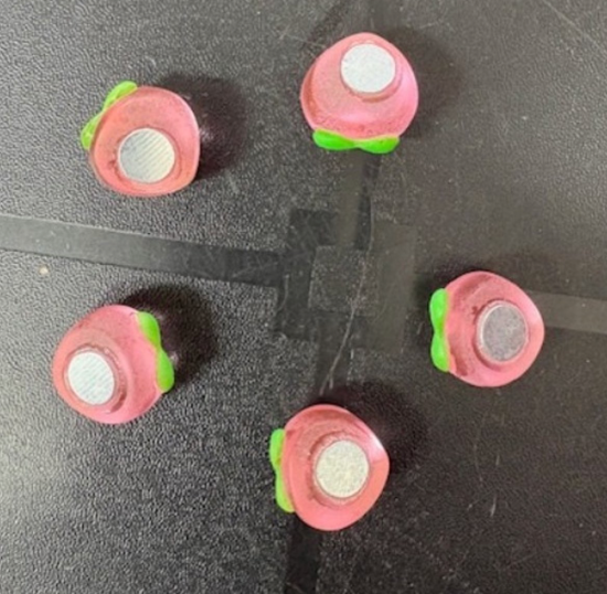 Perzik magneten (5 stuks) 4 van demagneetshop.nl