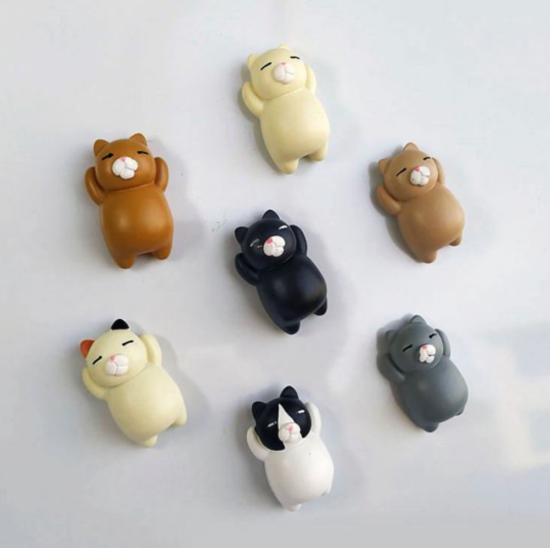 Katten magneten (7 stuks) 2 van demagneetshop.nl